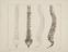 23 Anatomical Prints and 15 ‘Explanation of the Plate’ Pages