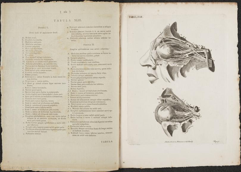 Tabula XLIII illustrating sections through the human eye and