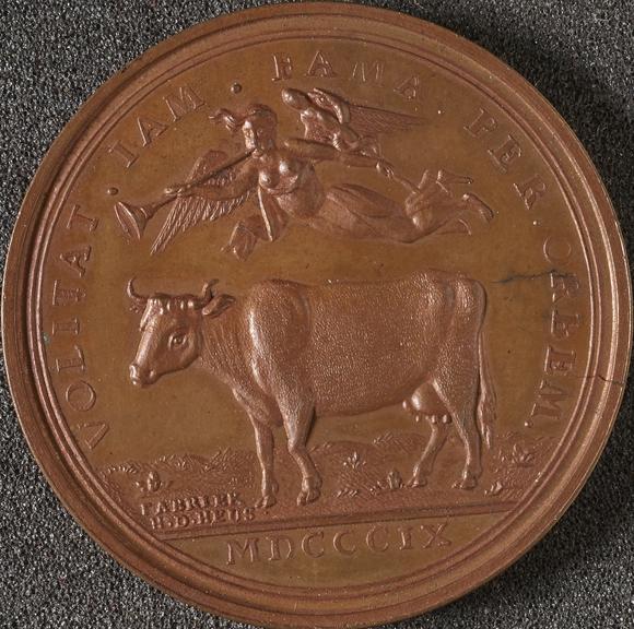 Bronze medal commemorating the Vaccination Institute