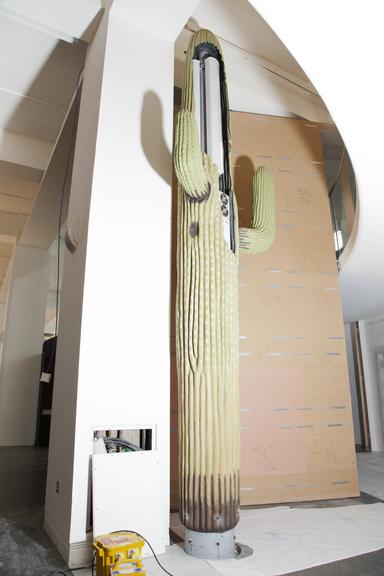 mobile phone base station disguised as a cactus, 2013-2014