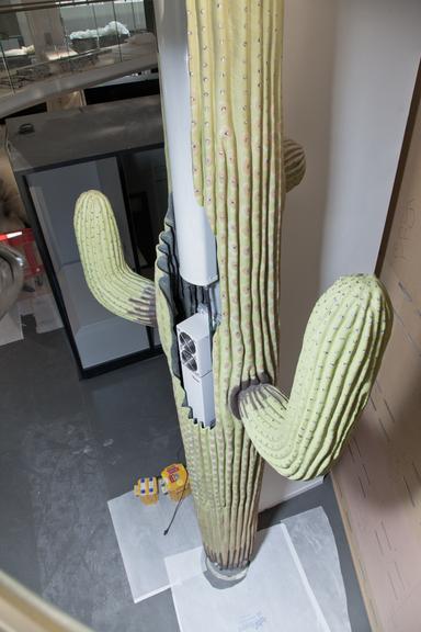 mobile phone base station disguised as a cactus, 2013-2014