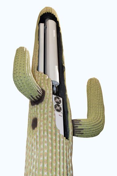 mobile phone base station disguised as a cactus, 2013-2014