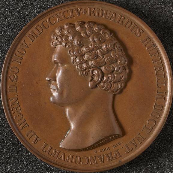 Bronze medal