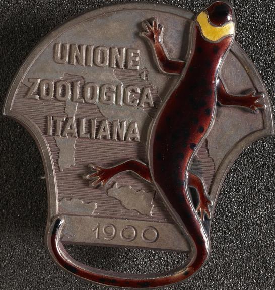 Lapel badge