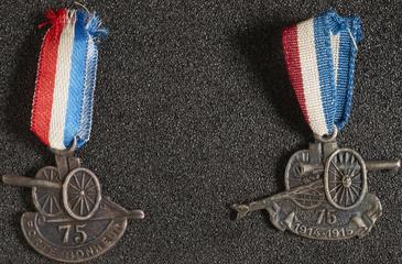 Two lapel badges