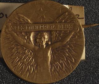 Lapel badge
