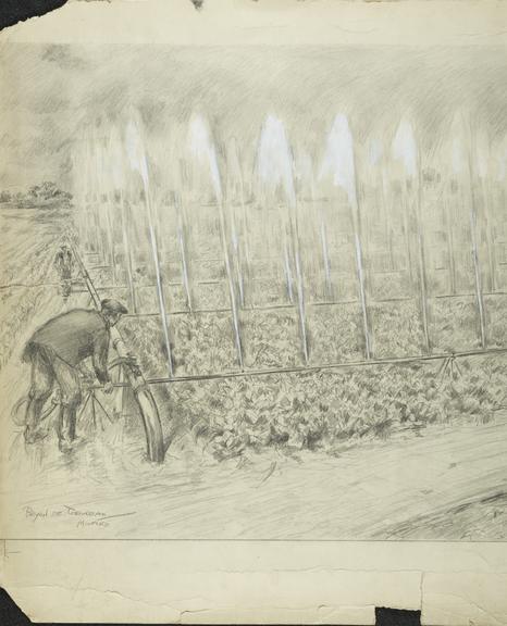 Pencil sketch by Bryan de Grineau
