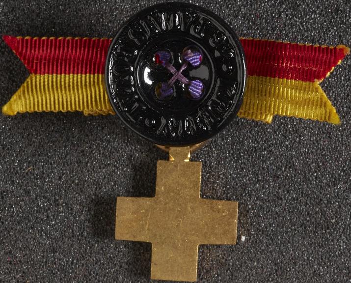 Small enamelled lapel badge with button and riband