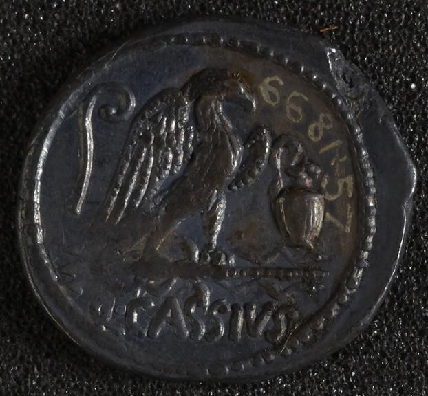 Roman Consular Denarius coin (Ancient Roman) | Science Museum Group ...