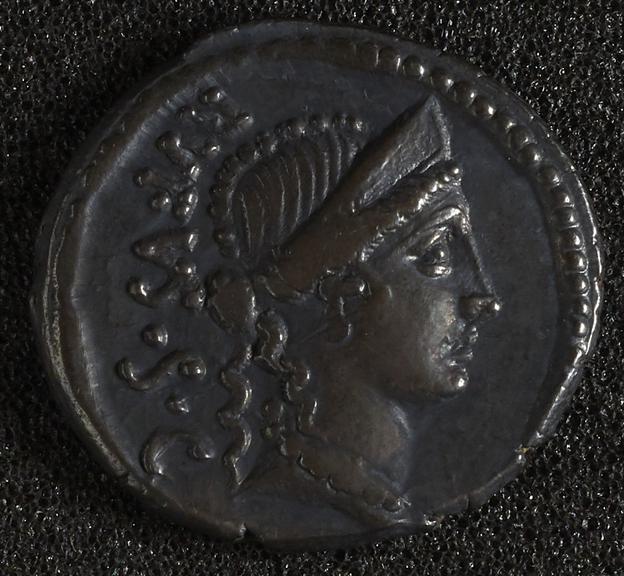 Roman Consular Denarius coin (Ancient Roman) | Science Museum Group ...