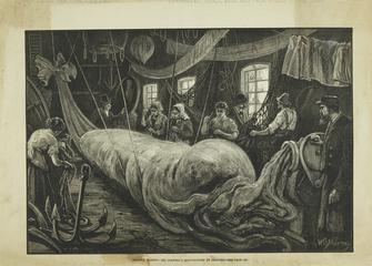 Balloon making, Mr Coxwell's manufactory at Seaford, about 1880