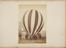 Photograph, balloon before flight being held by young men and