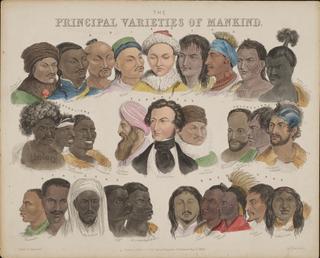 Principal varieties of mankind', 3 May 1850.