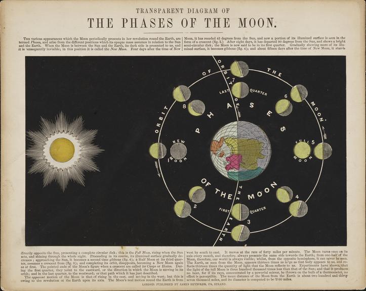 Astronomical diagram: Transparent diagram of the Phases of the