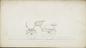 Design for a Spider Phaeton carriage