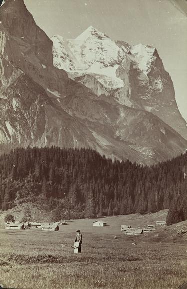 Wetterhorn, Bernese Oberland, West Grindelwald