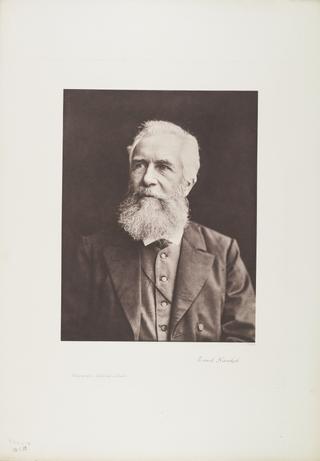 Portrait, photogravure, Ernst Heinrich Haekel / Photographische Gesellschaft Berlin