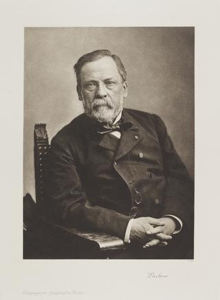 Portrait, photogravure, Louis Pasteur / Photographische Gesellschaft Berlin