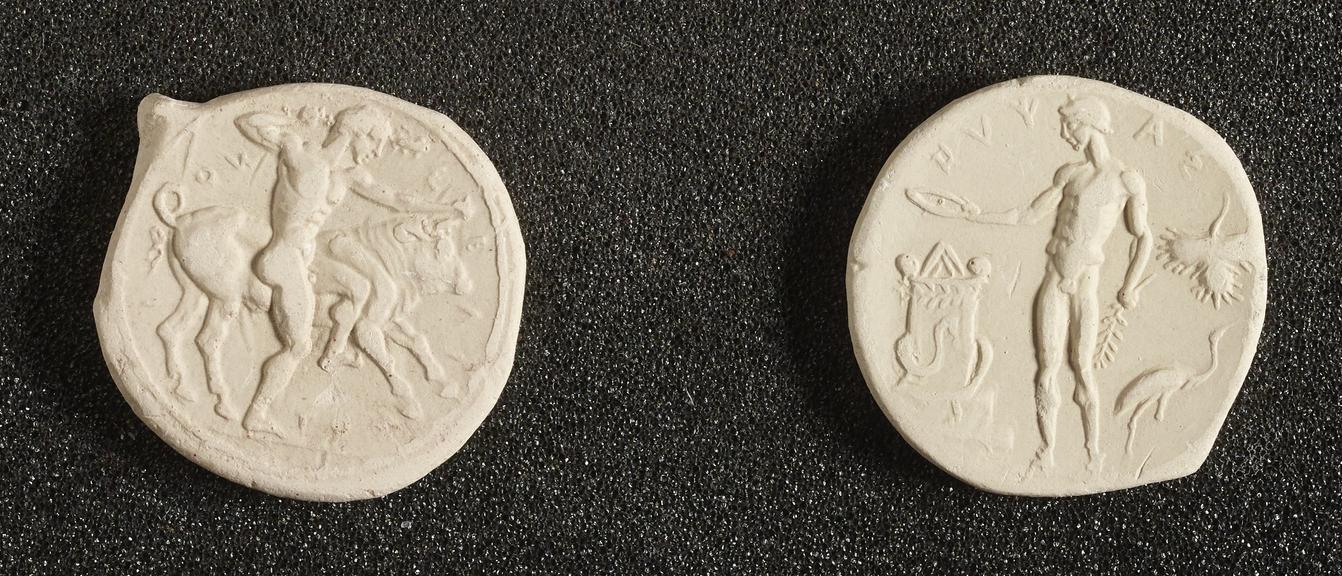 Plaster casts of obverse and reverse of coin of Selinus