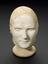 Plaster phrenological head, possibly of Dr Dodd, a forger