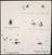 Observations of the Sun and Jupiter by John Willis (drawing)