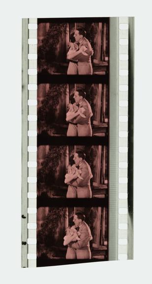 One full frame and one half frame of 35mm Sonochrome tinted