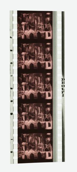 Single frame of 35mm Sonochrome tinted sound positive film with