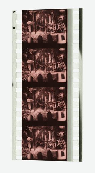 Four frames of 35mm Sonochrome tinted sound positive film with