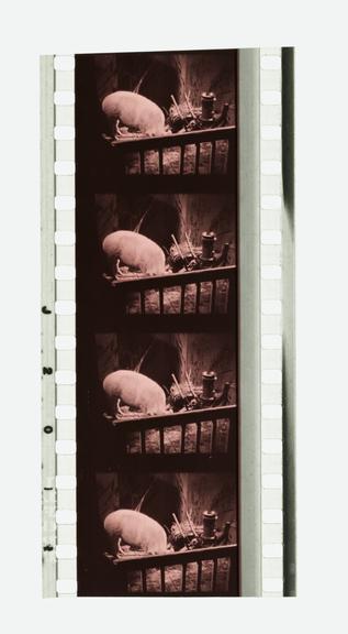 Four frames of 35mm Sonochrome tinted sound positive film with