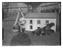 Dogs at Bellmead Kennels, Haselmere