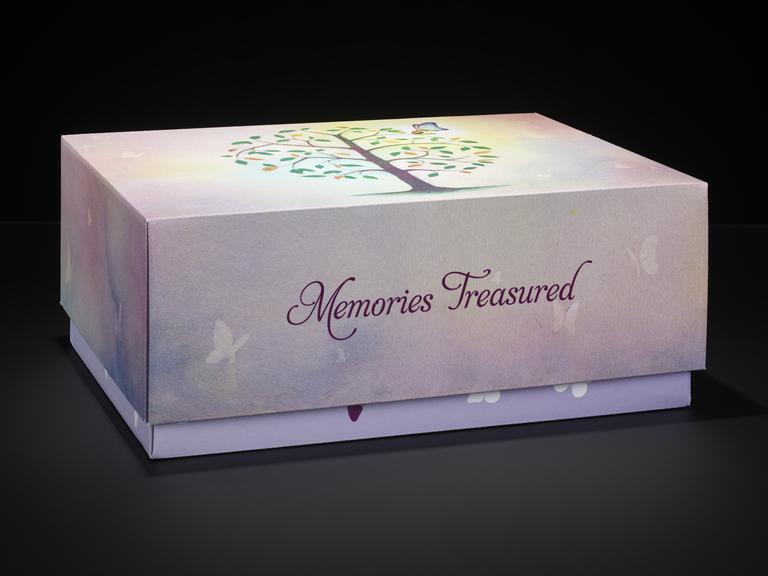 Large SiMBA memory box | Science Museum Group Collection