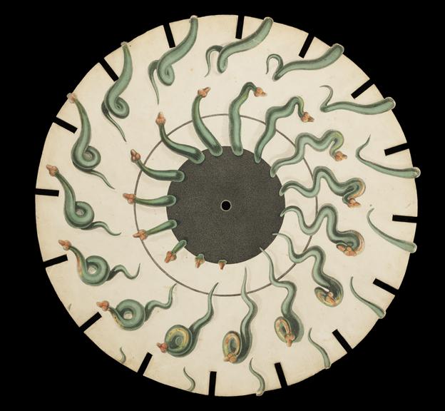 Phenakistoscope Disc of A Snake (fantoscope disc; optical toy; phenakistoscope disc)