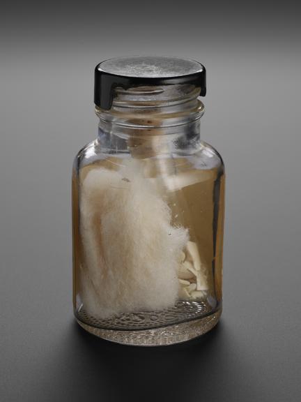 Sample of Terylene