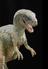 Fibreglass model Allosaurus (animation model; model - representation; replica)