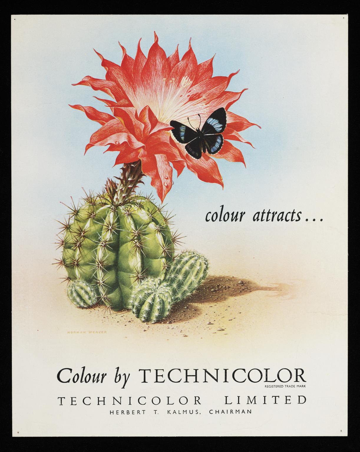 Hicolor Advertisements Advertisement for Technicolor Ltd | Science Museum Group Collection