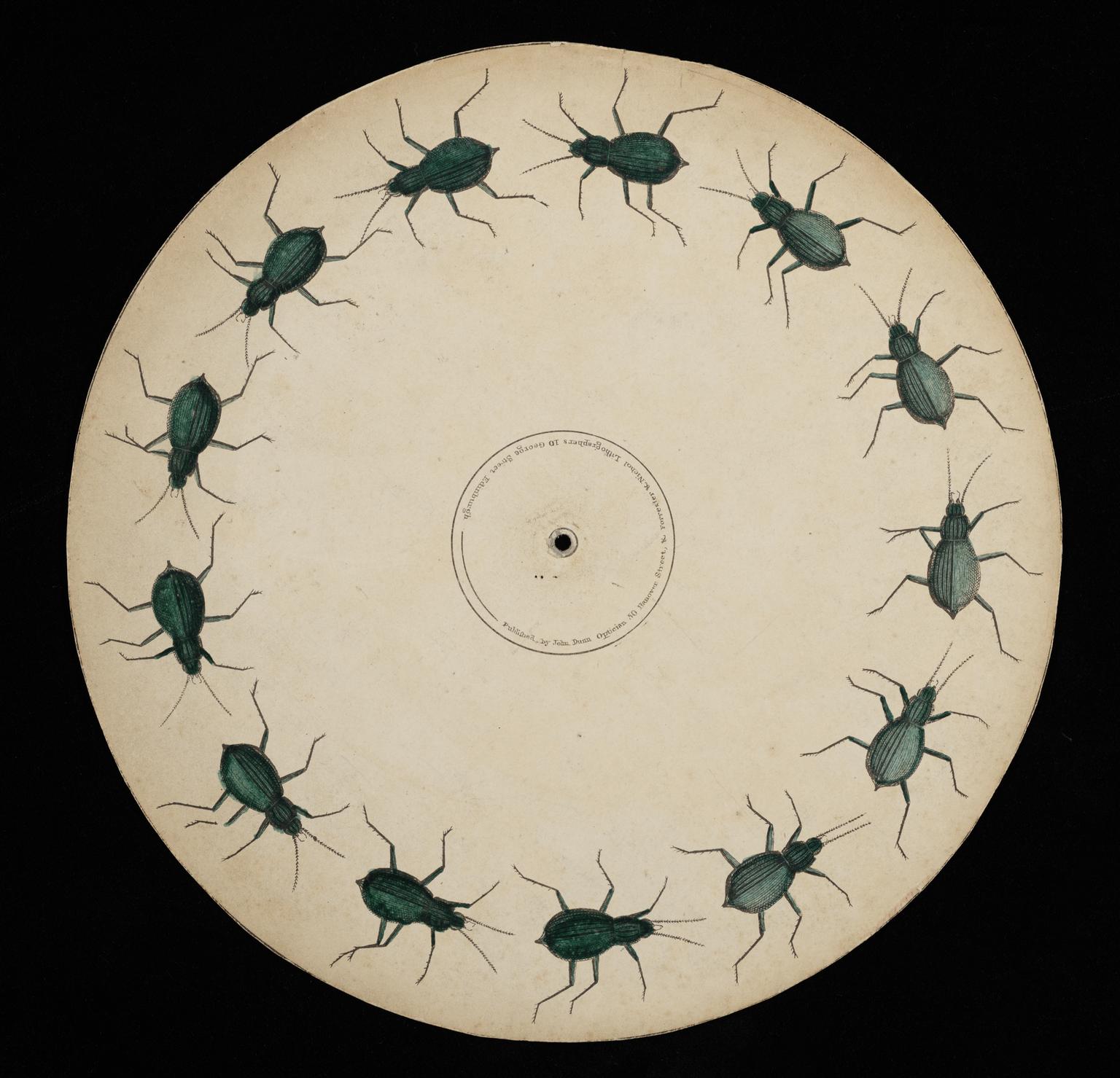 Crawling Beetle Phenakistoscope Disc