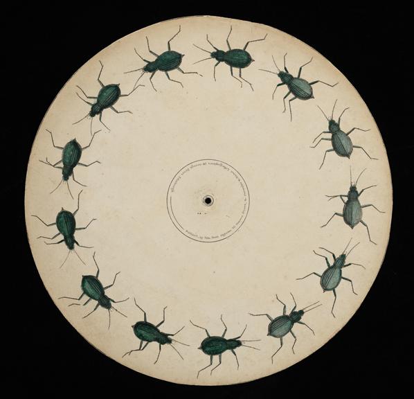 Crawling Beetle Phenakistoscope Disc (optical toy)