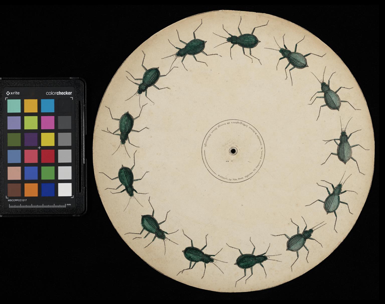 Crawling Beetle Phenakistoscope Disc