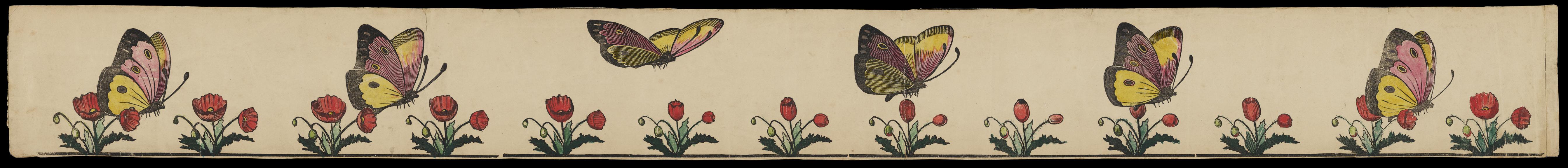 Zoetrope strip: Butterfly and Poppy