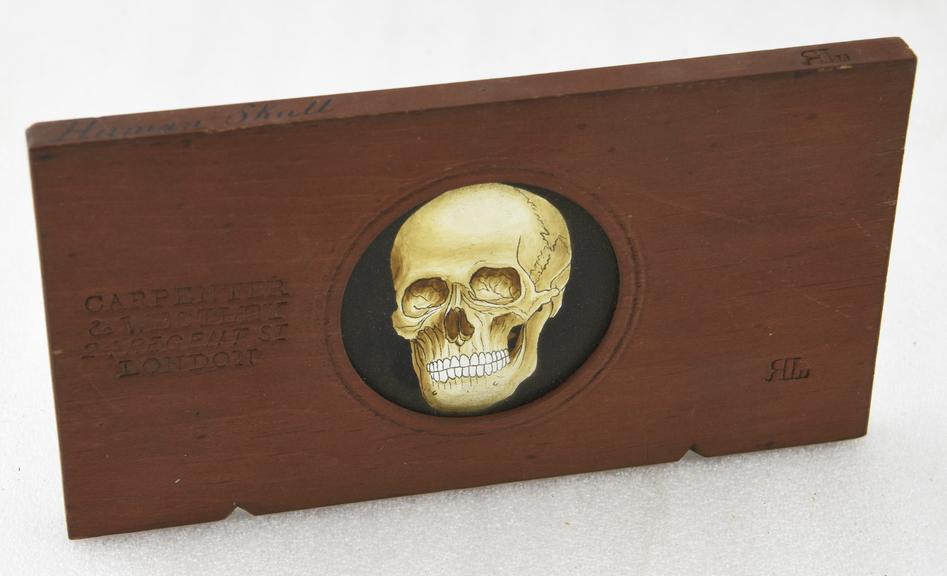 Magic lantern slide with skull