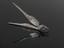 Betel nut cutter in form of bird