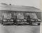 Three early milk delivery trucks, loaded with churns of milk