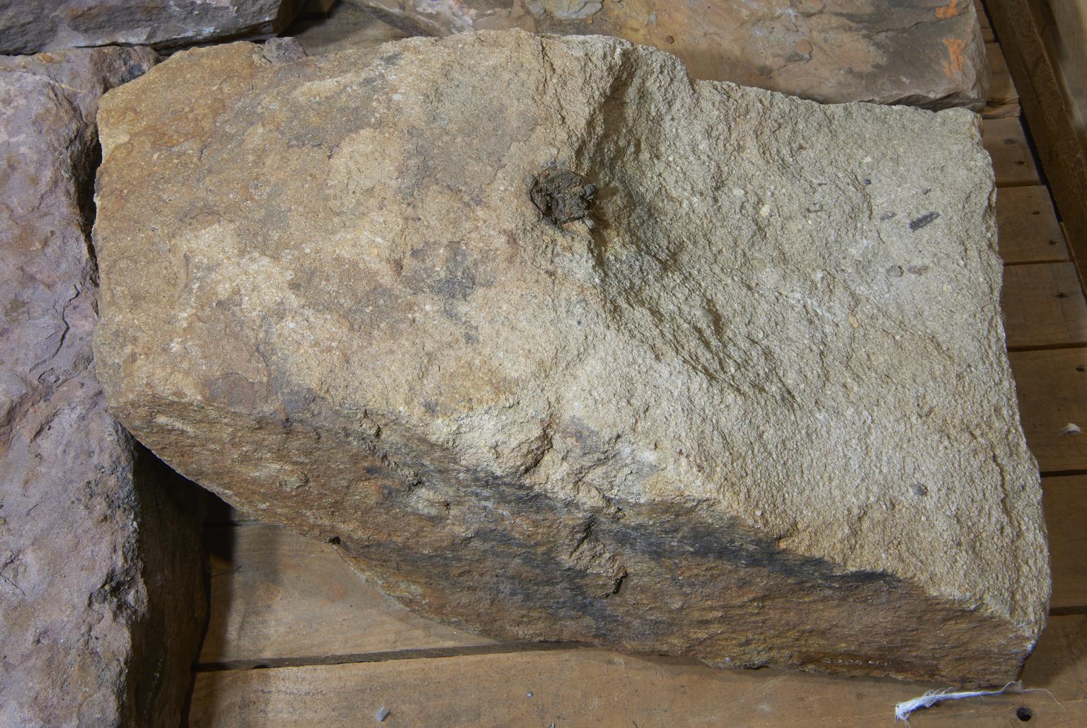 Foundry Rocks Sandstone Rock from Pollard Street Archaeological Excavations of Peel ...