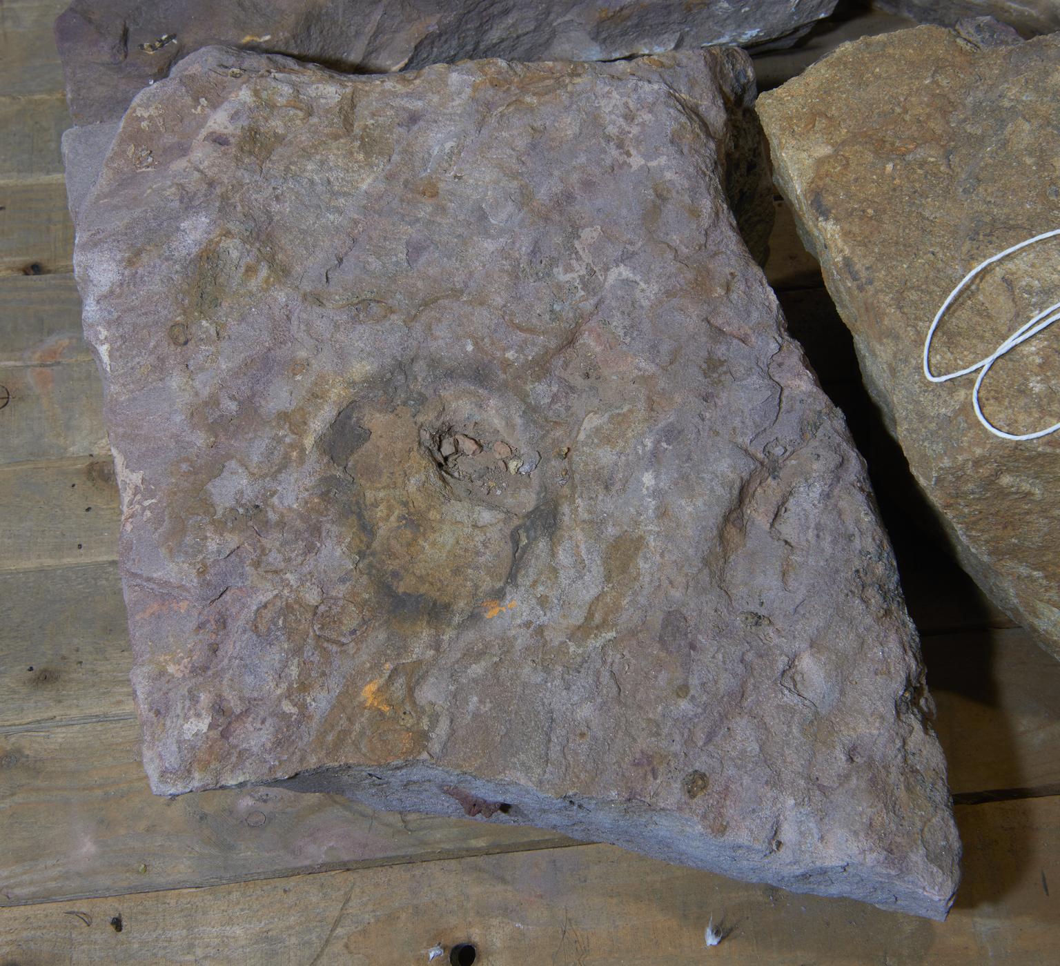 Foundry Rocks Sandstone Rock from Pollard Street Archaeological Excavations of Peel ...