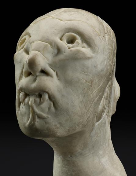 Model head of 'The Reptile'