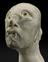 Model head of 'The Reptile'