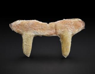 Vampire fangs from 'Dracula'