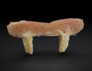 Vampire fangs from 'Dracula'