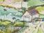 Jigsaw puzzle and box, based on 'Agroecology Jigsaw' artwork by Emily Tough