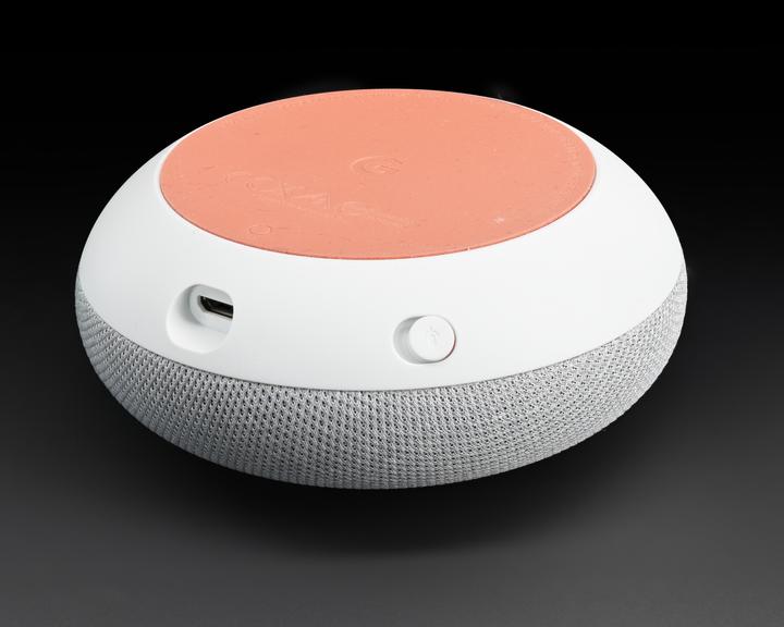 Google Home Mini